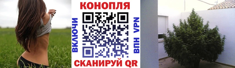 Купить где  Бутурлиновка  Бошки Шишки сатива 